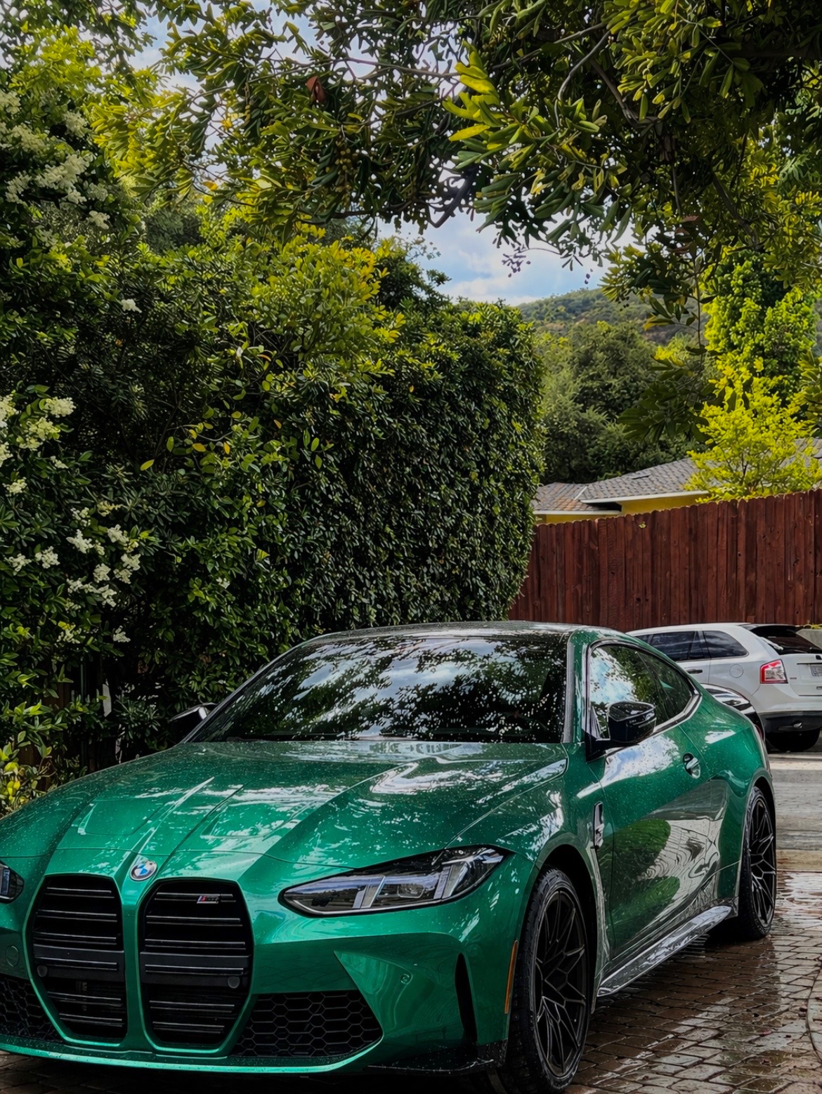 Premium car detailing in Santa Clarita